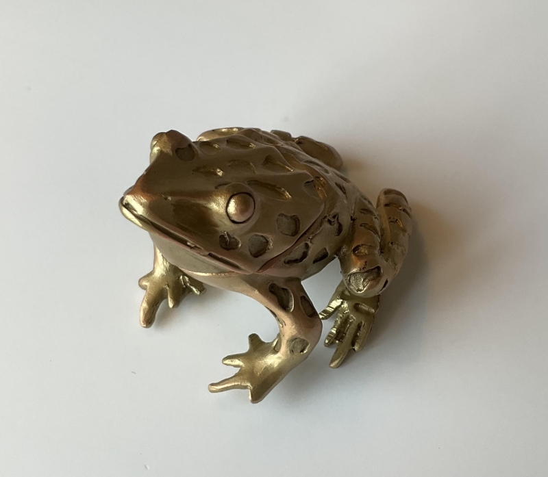 Table Art - Boxes: Frog